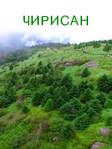 Сериал «Чирисан» 1 сезон на русском языке онлайн